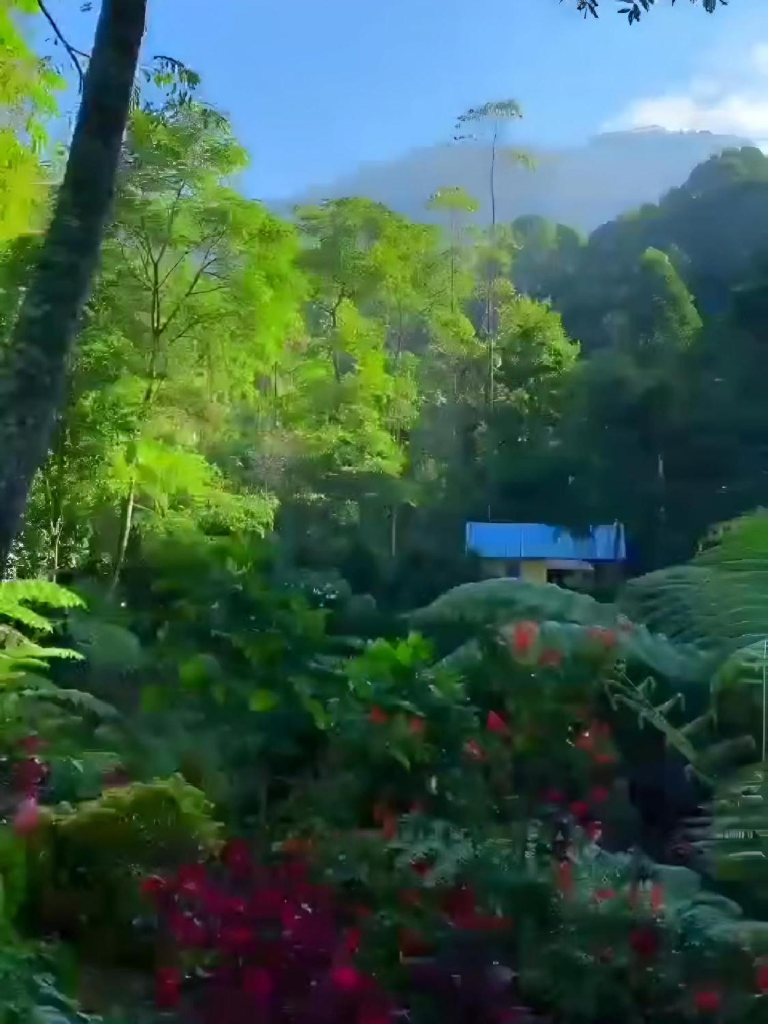 Penginapan Nuansa Riung Gunung Hotel Pangalengan Bagian luar foto